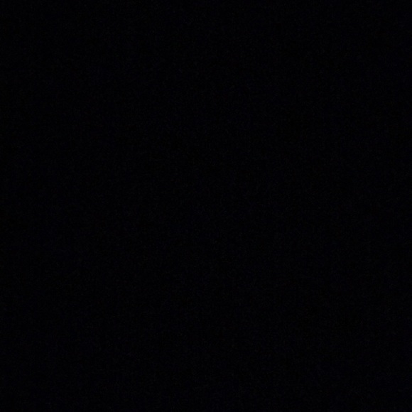 Meet your Posher, Madi - Picture 1 of 1